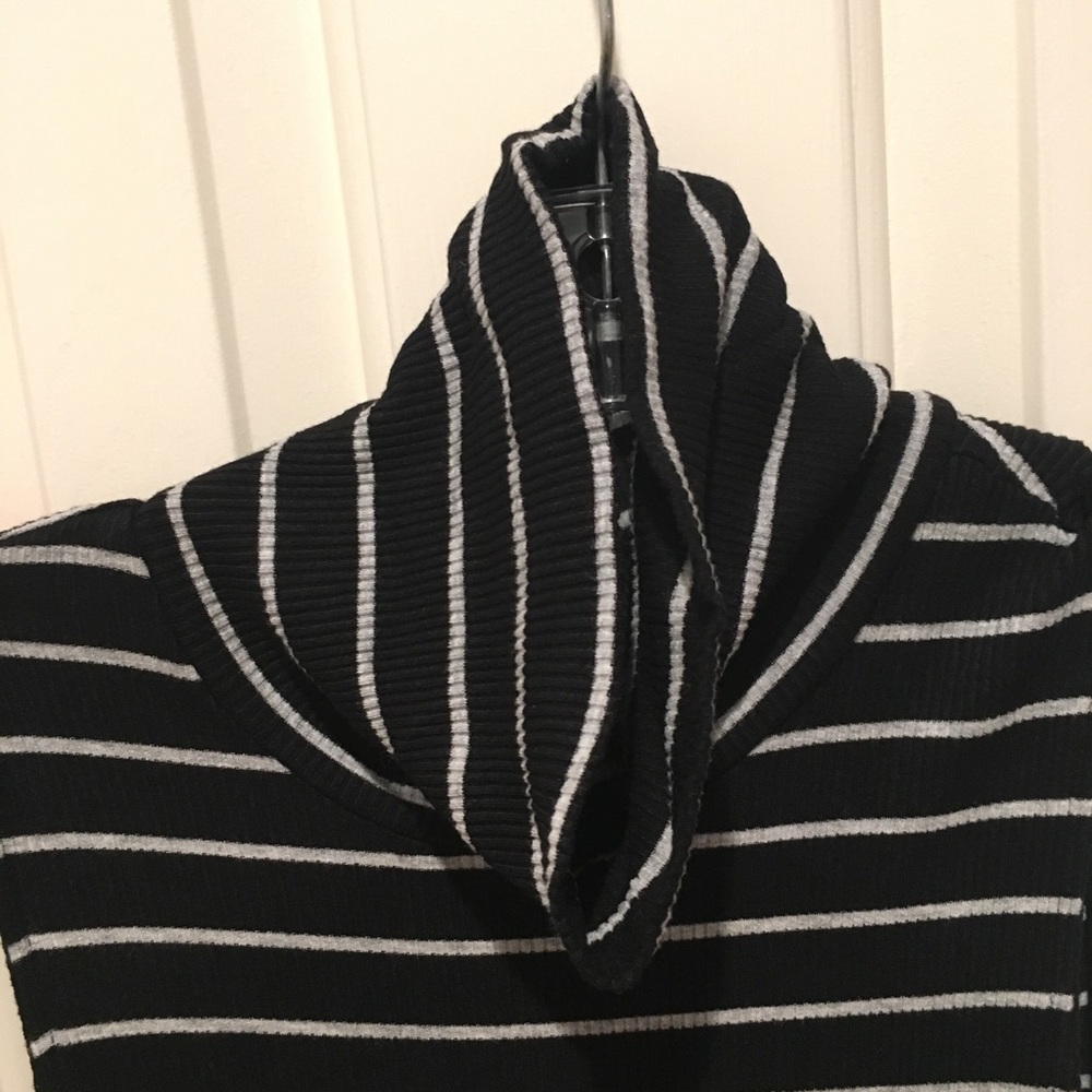 The Limited Stripe Shirt Dress - Picture 4 of 5
